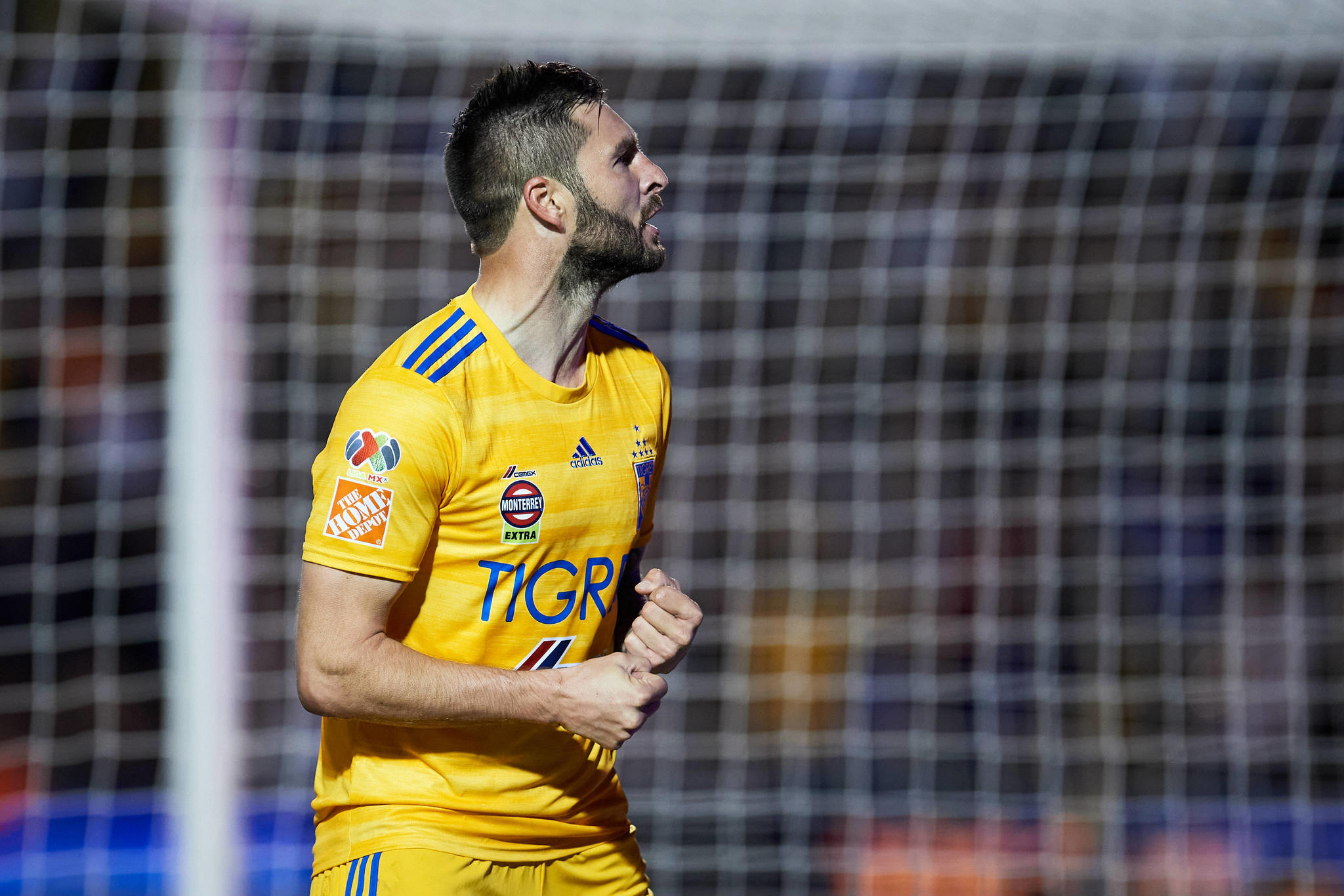 Gignac, disponible para la Jornada 9