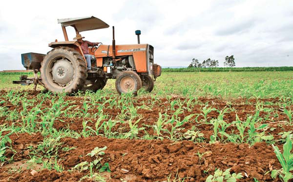 Siguen agricultores guanajuatenses en actividad pese a contingencia por covid-19