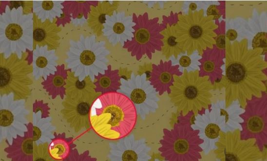 ¿Puedes encontrar la abeja en esta imagen?