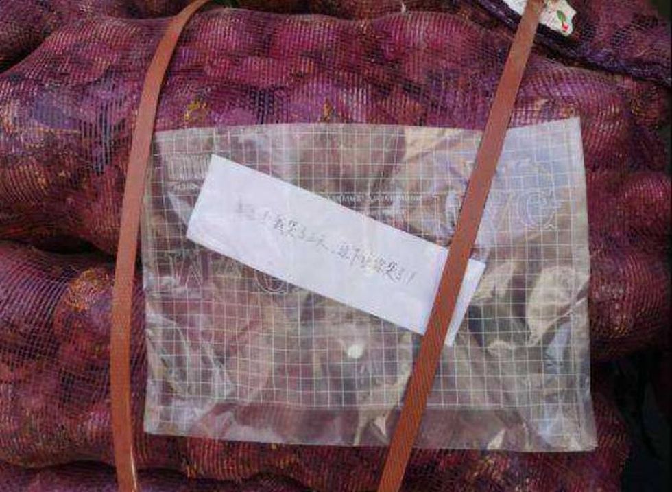 Mujer envía a casa de su exnovio una tonelada de cebolla para que ‘llore’