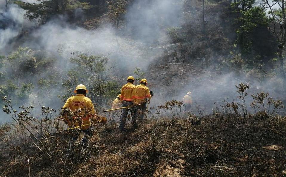 Por incendios forestales, se han perdido más de 157 mil hectáreas en México