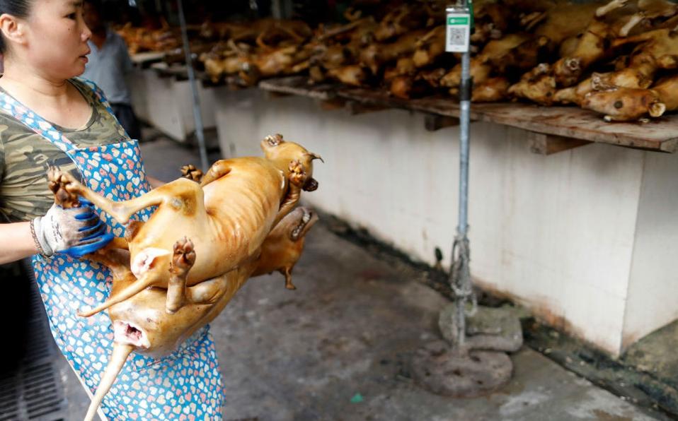 Durante pandemia, China celebra el Festival de la Carne de Perro