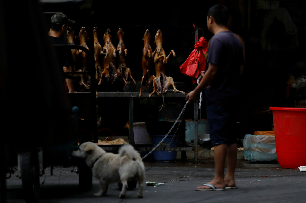 Durante pandemia, China celebra el Festival de la Carne de Perro