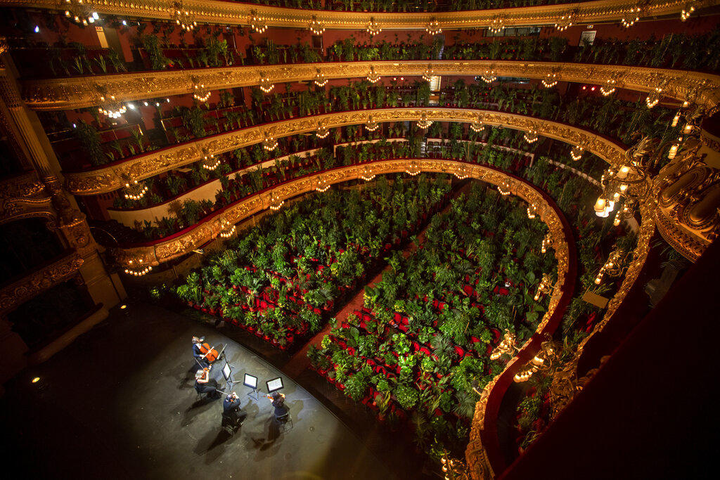 Realizan concierto de Ópera en Barcelona y su público son plantas [VIDEO] 