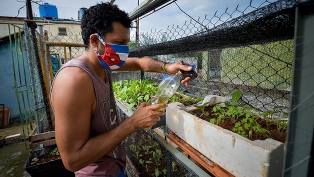 Cuba cumple una semana sin muertes por COVID-19