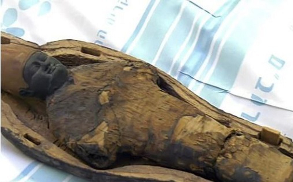 Momia del antiguo Egipto resulta no ser humana tras realizarle pruebas [FOTOS]