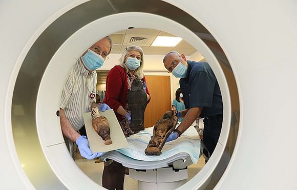 Momia del antiguo Egipto resulta no ser humana tras realizarle pruebas [FOTOS]