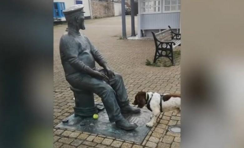 VIDEO: Perrito intenta jugar a la pelota con una estatua 