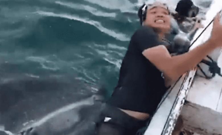 VIDEO: Turista busca selfie con tiburón ballena y casi lo "traga"