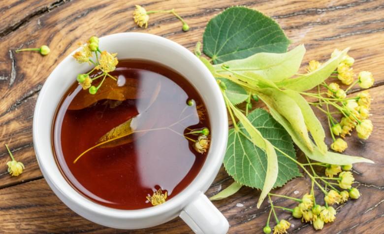 Cinco plantas medicinales que te ayudarán a combatir el insomnio