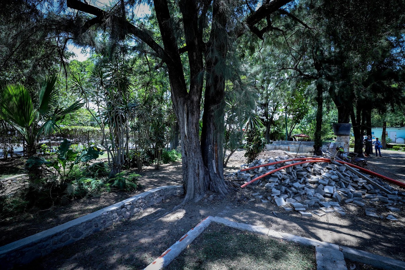 Conoce la historia del Parque Hidalgo de León