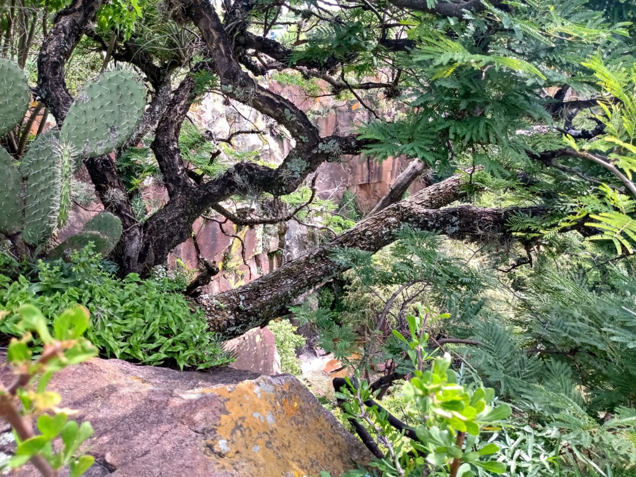Cascadas de San Juan de Otates en León, espacios recreativos y ecológicos
