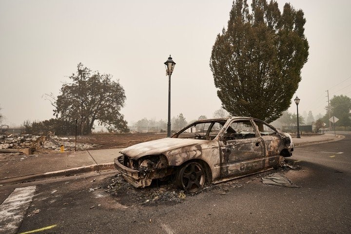Niño muere abrazado a su perro durante los devastadores incendios en EU 