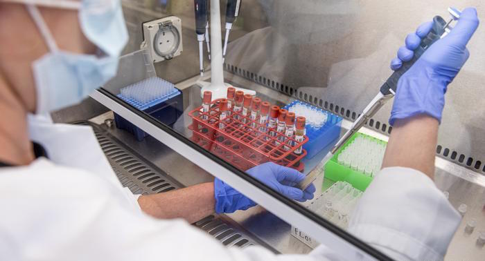 Mexicanos crean tratamiento a base de suero de caballos; curaría el coronavirus