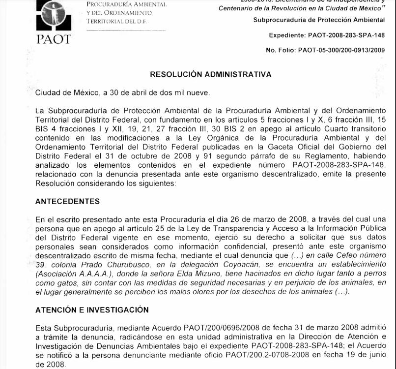 Denuncian en redes organización de 'las mata perros’ que opera en alcaldía Coyoacán
