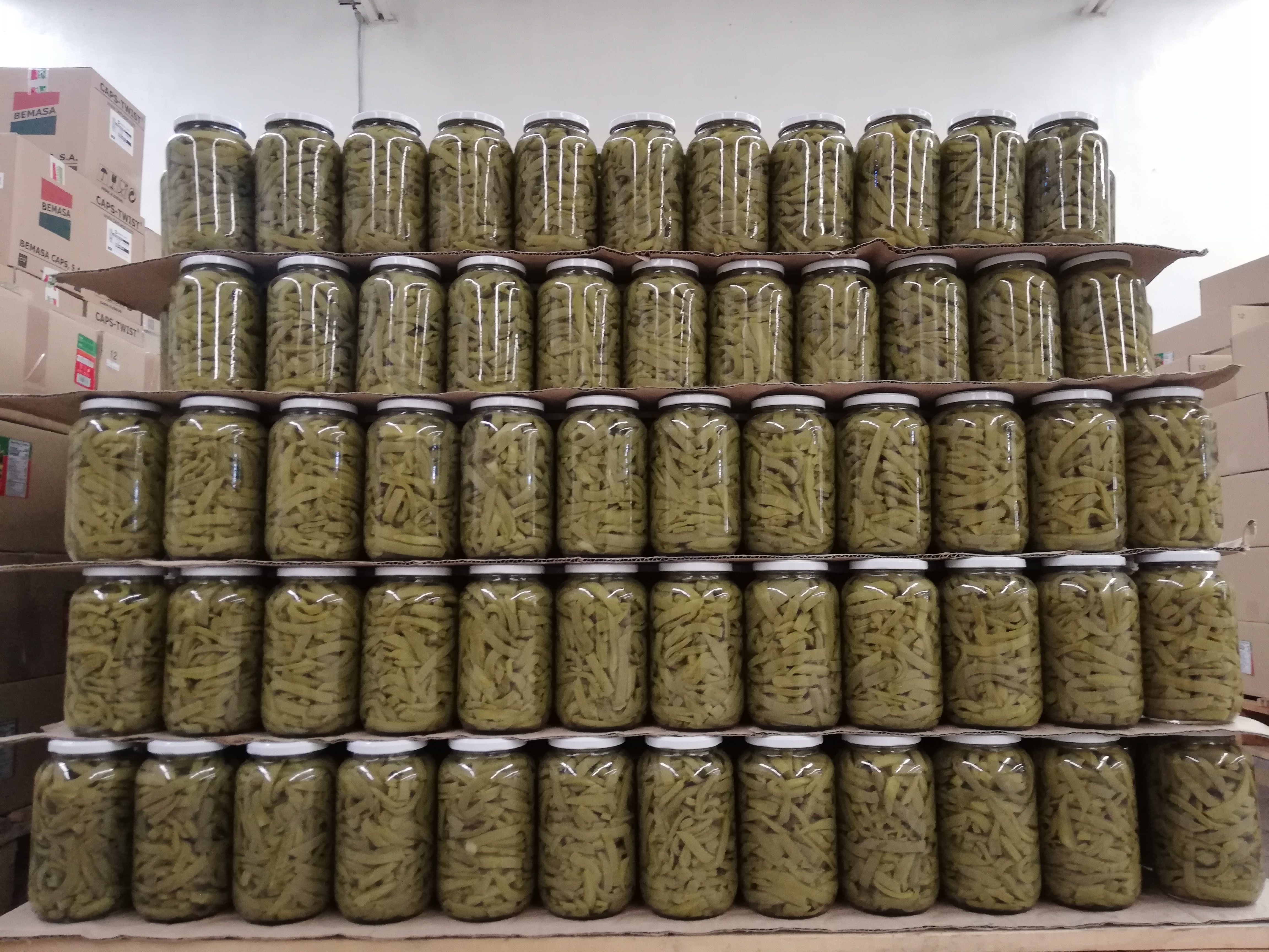 De Valtierrilla para el mundo; Nopales de exportación