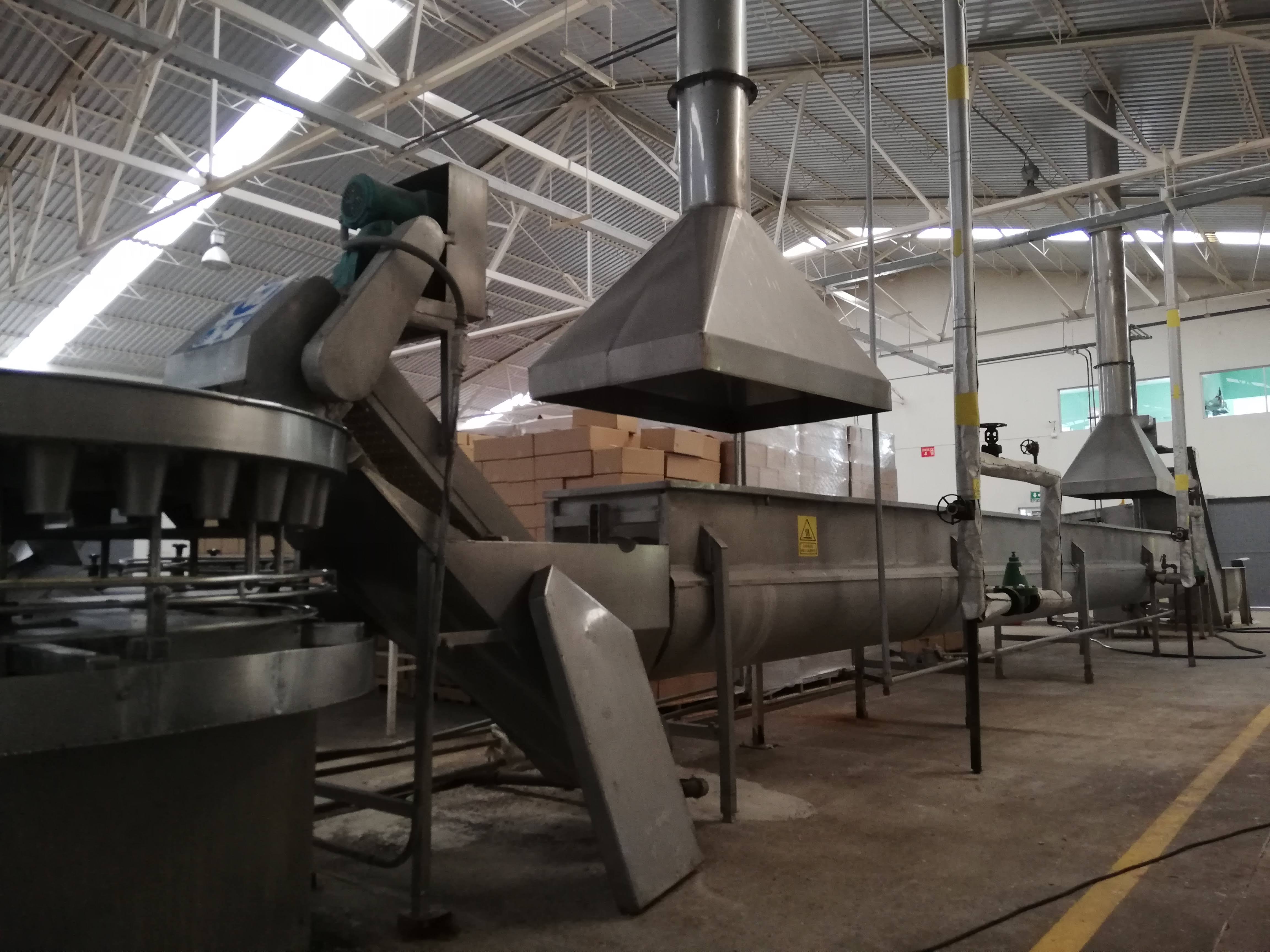 De Valtierrilla para el mundo; Nopales de exportación