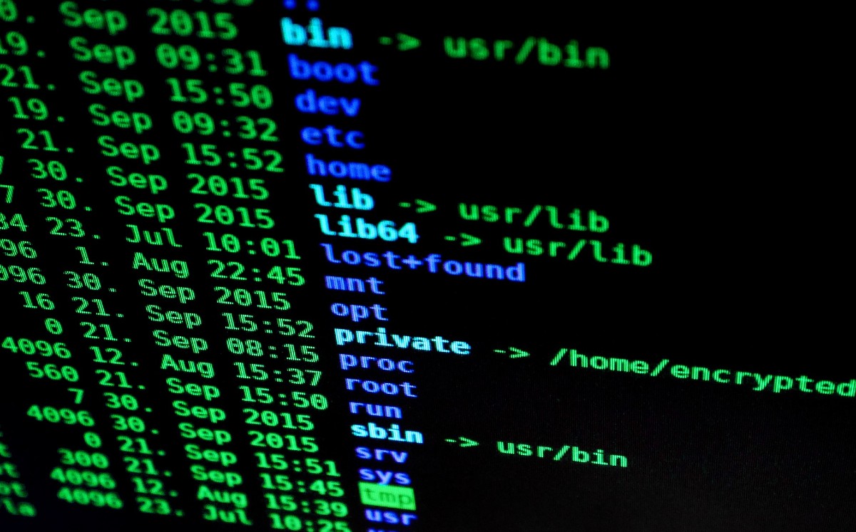 Cárteles mexicanos migran a la web para distribuir drogas y 'blindar' operaciones de autoridades