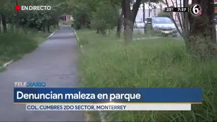 Reportan maleza en parque de Cumbres Segundo Sector