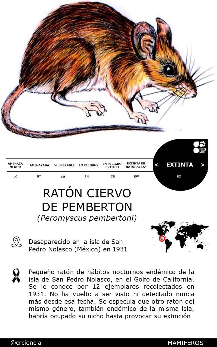 Estos son los animales endémicos de México que ya se extinguieron