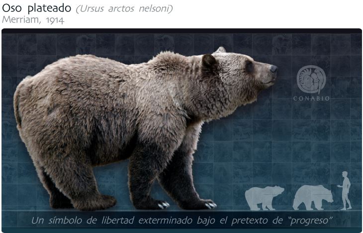 Estos son los animales endémicos de México que ya se extinguieron