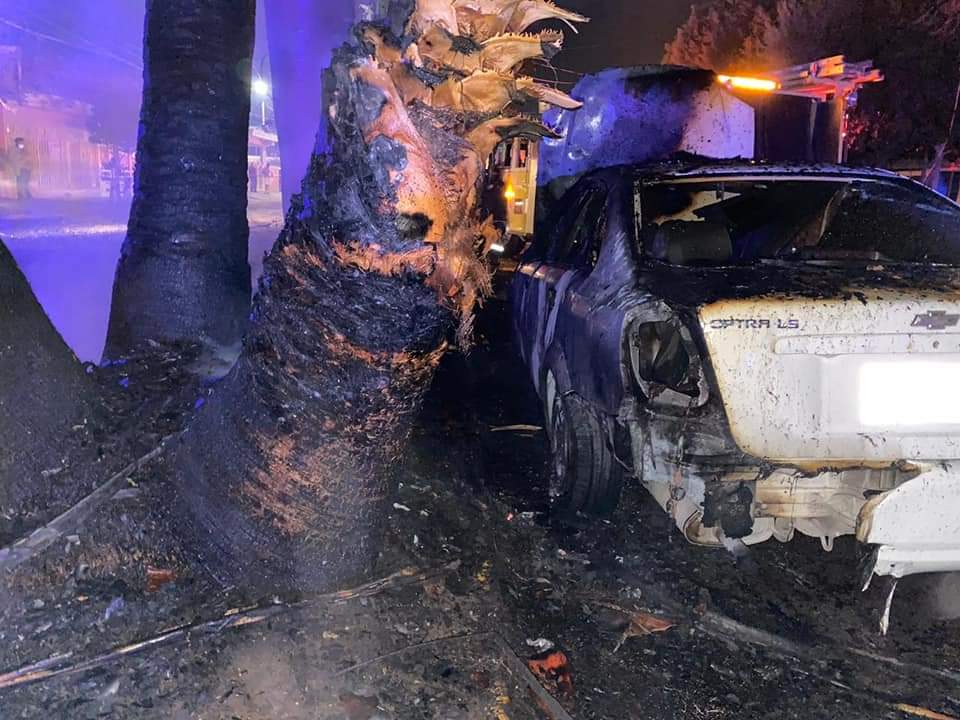 Fuerte incendio en Gómez Palacio deja 2 vehículos, 7 palmas, un árbol y cableado quemados