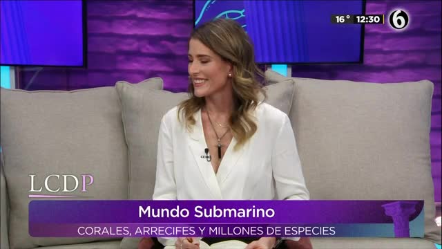 Telediario noticia LCDP programa completo - 23 de noviembre 2020