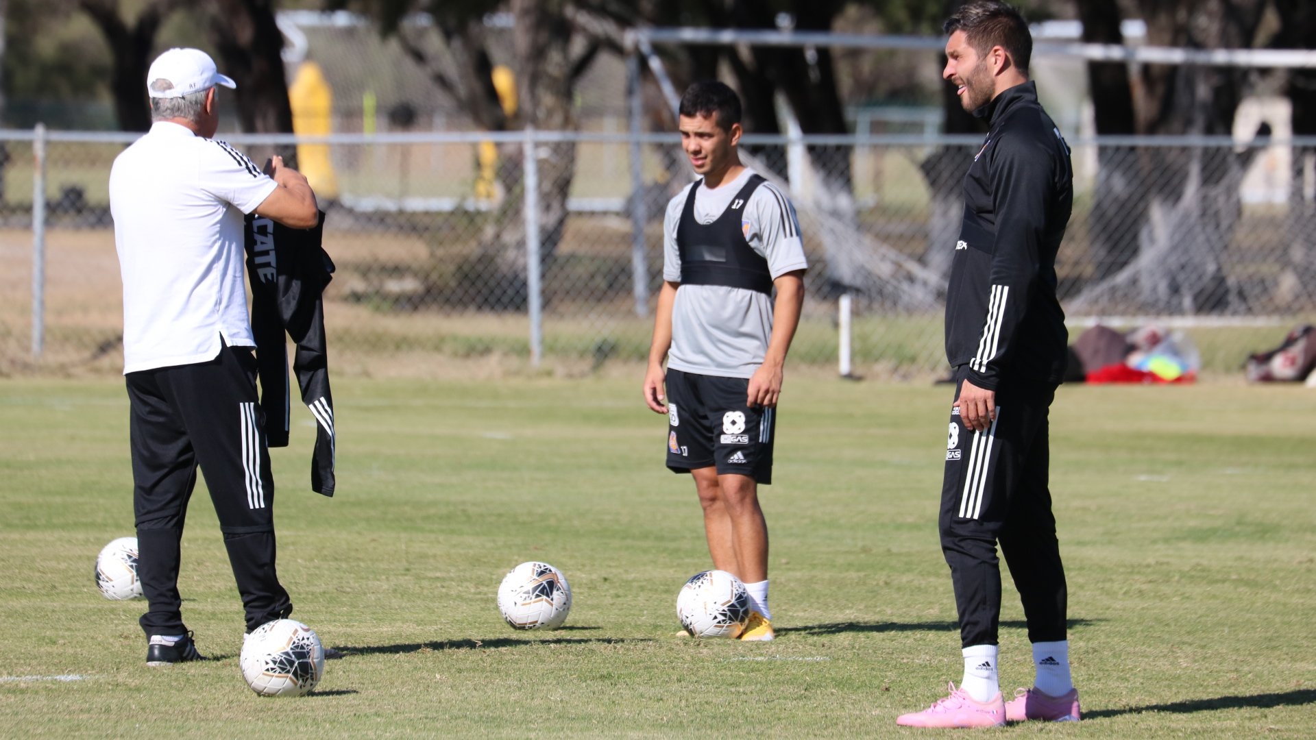 Tuca Ferretti regresa  a los entrenamientos