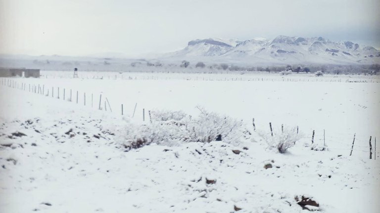 Así de IMPRESIONANTE fue la nevada que sorprendió a Chihuahua