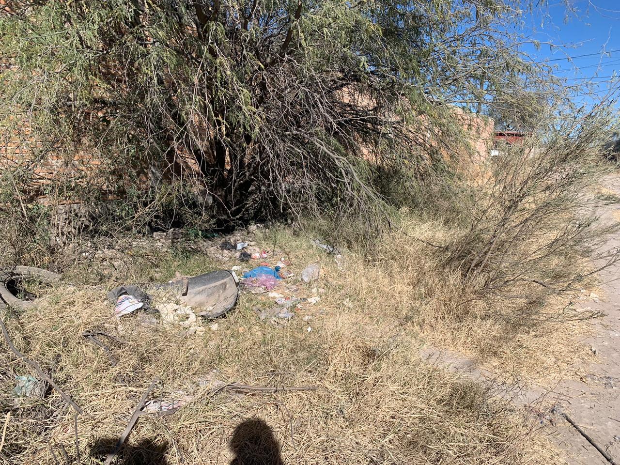 Basura comienza a inundar banquetas de la colonia Justicia Social