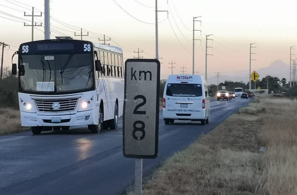Oso muere atropellado al intentar cruzar la carretera a Colombia