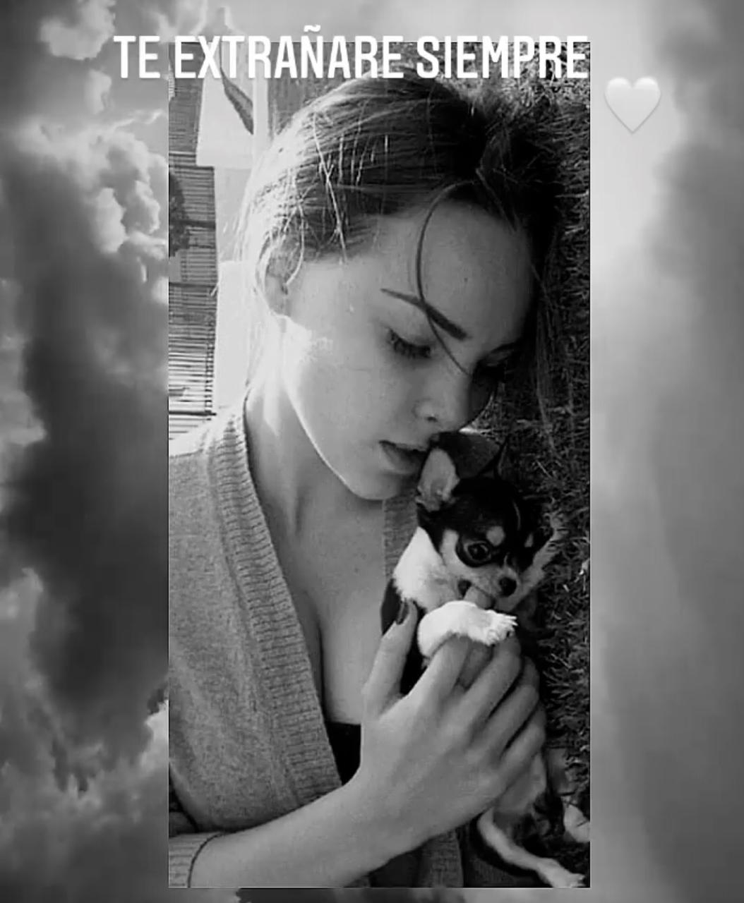 No puedo expresar el dolor que siento: Sufre Belinda la muerte de Gizmo, su perrito