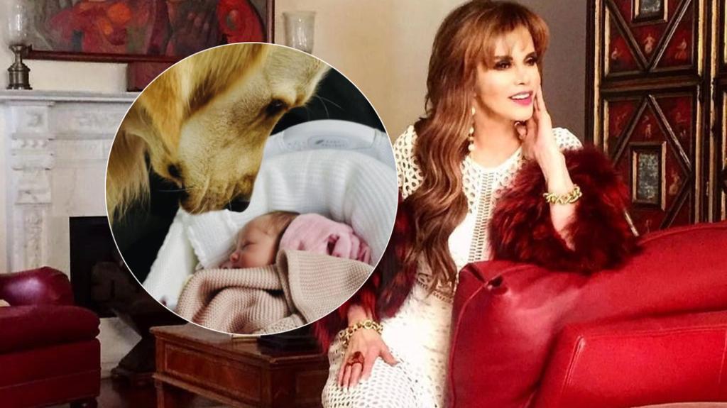 Ser abuela es un privilegio que me concede la vida: Lucía Méndez