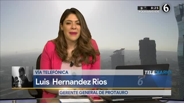 PUEBLA. LUIS HDZ, GTE. PROTAURO