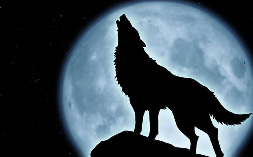 La "Luna llena de Lobo" iluminará el cielo esta semana: ¿Cómo y cuándo podrás verla?