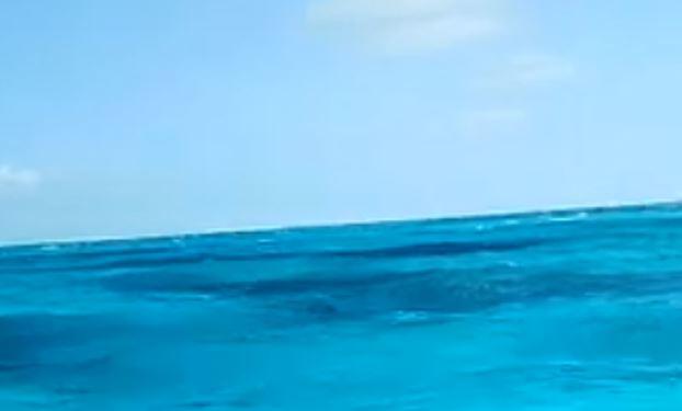 Captan supuesto cadáver flotando en el mar en Isla Mujeres