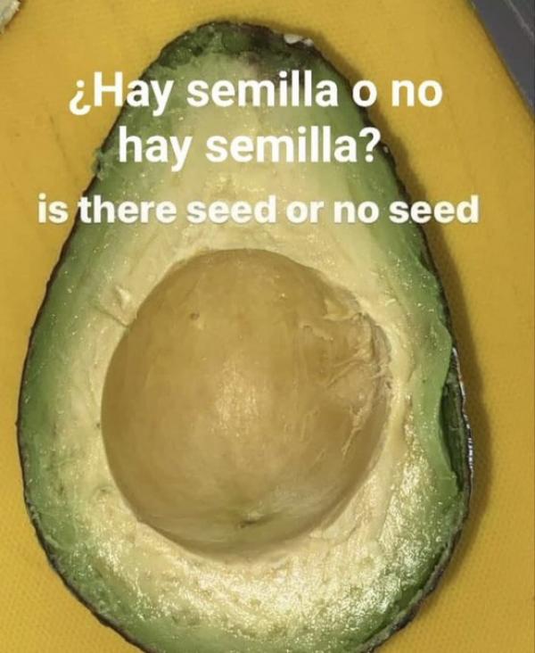 RETO VIRAL: ¿El AGUACATE tiene o no tiene semilla? 