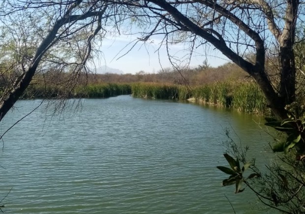 Buscan a joven sumergido en una laguna en Zuazua