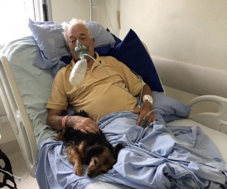 Abuelito recibe la visita de su perrita al hospital antes de morir por COVID-19