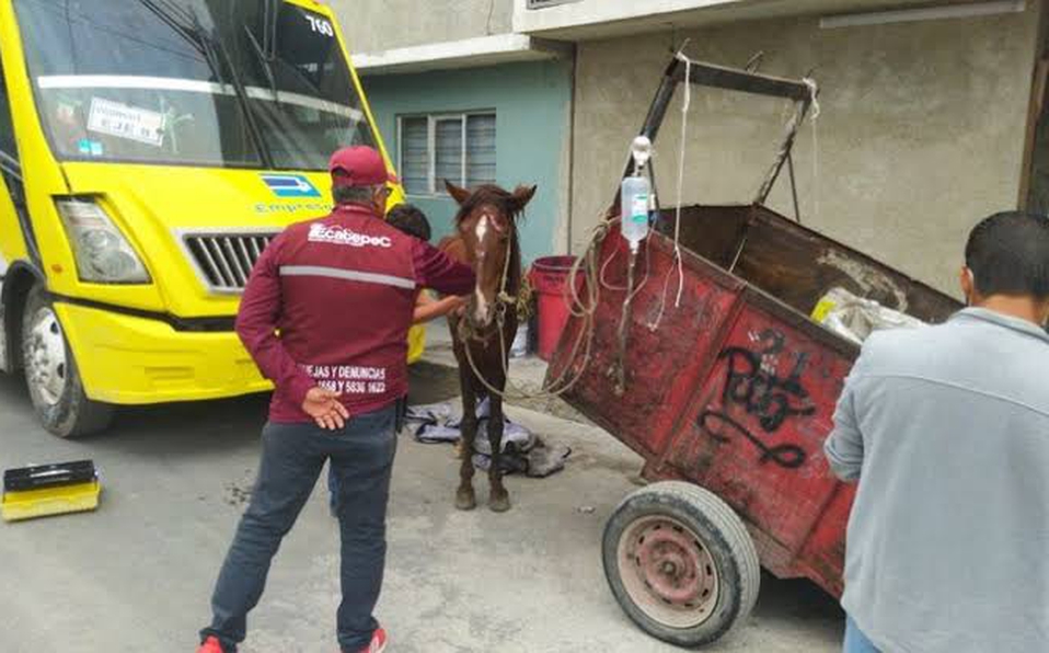 Ecatepec le pone fin al uso de animales para la recolección de basura