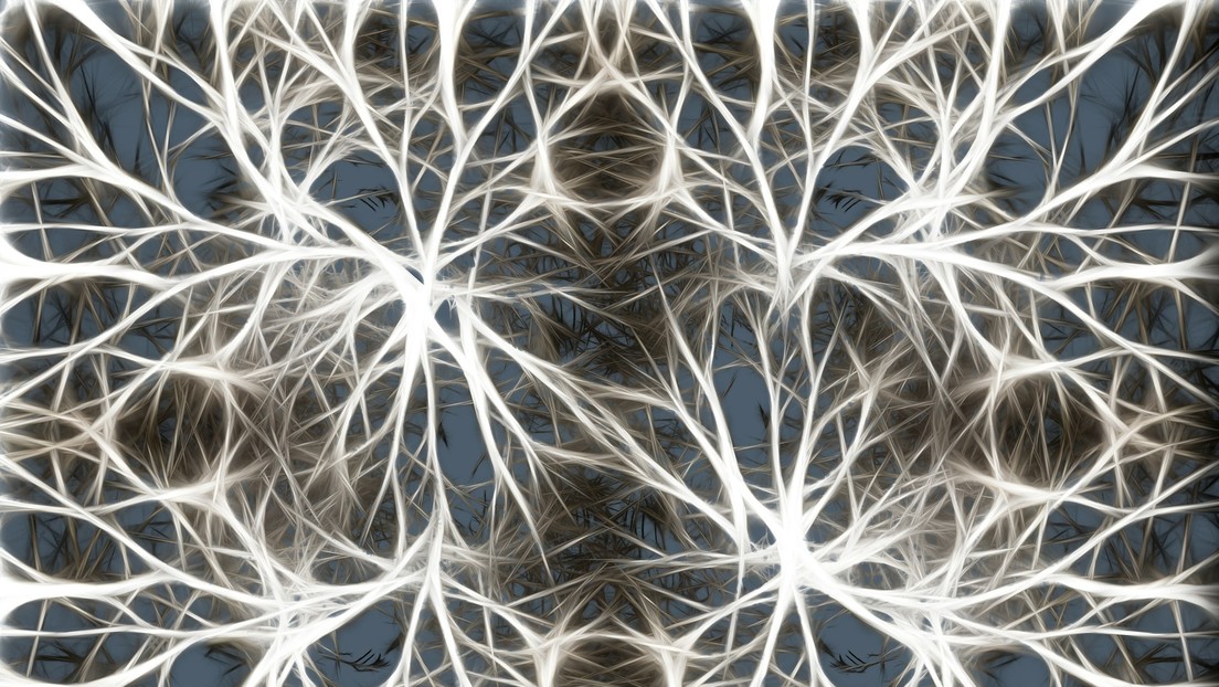 Buscan crear microchips más avanzados utilizando células madre del cerebro humano