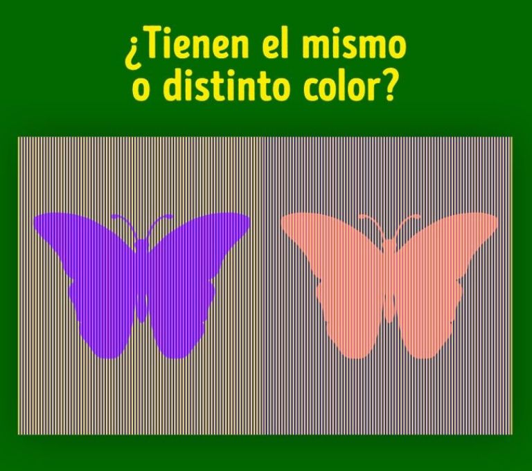 Resuelve el acertijo de la mariposa