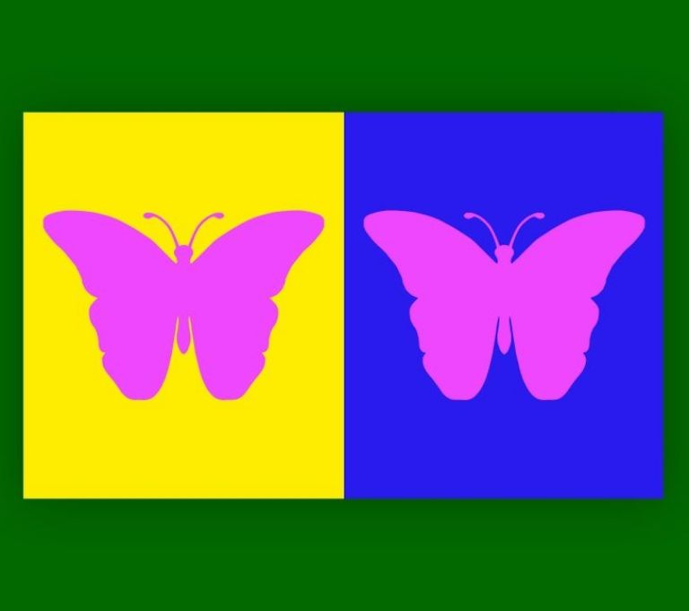 Resuelve el acertijo de la mariposa