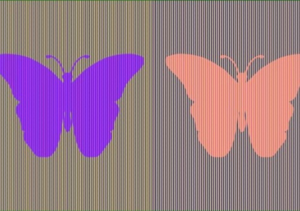 Resuelve el acertijo de la mariposa