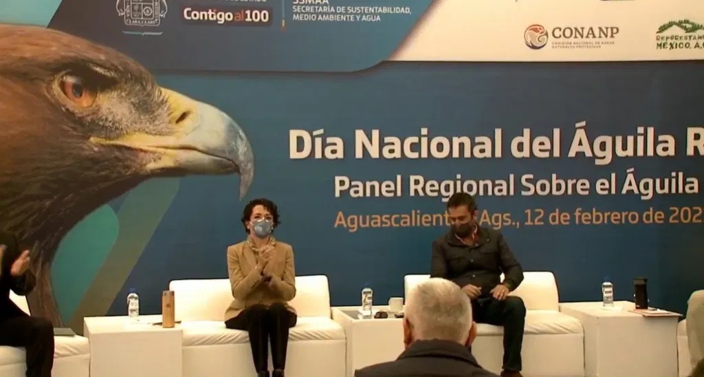 Trabaja Guanajuato en conservación de hábitat de Águila Real