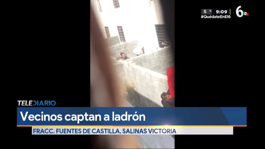 Telediario noticia El robo fue captado por vecinas de la calle Cuenca, en el Fraccionamiento Fuentes de Castilla.