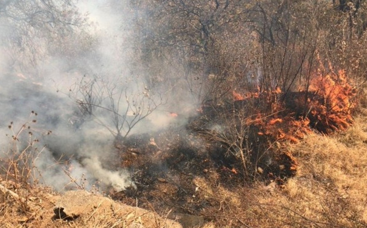 Por tercera ocasión se incendia el pastizal en Bosques de Tarango