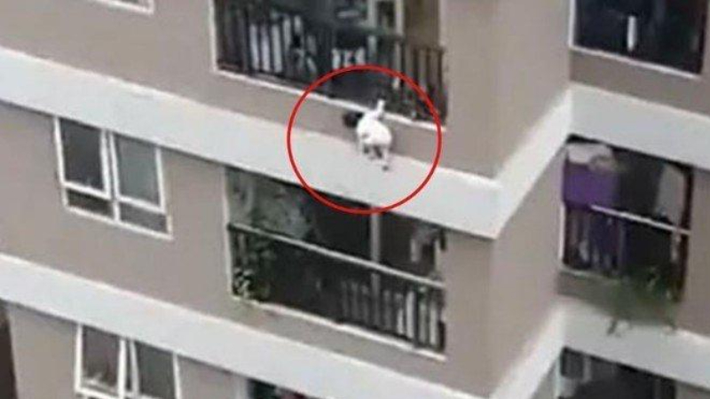VIDEO: Hombre atrapa en el aire a menor que cayó desde 40 metros de altura