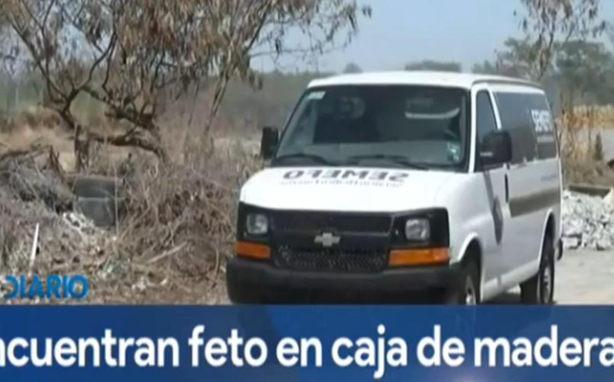 Encuentran feto de seis meses de gestación dentro de caja de madera en lote baldío