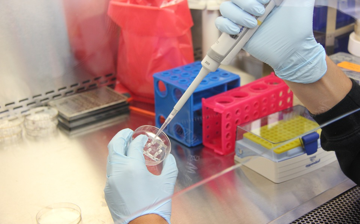 Científicos mexicanos crean prueba para detectar mutaciones de COVID-19 en pocas horas